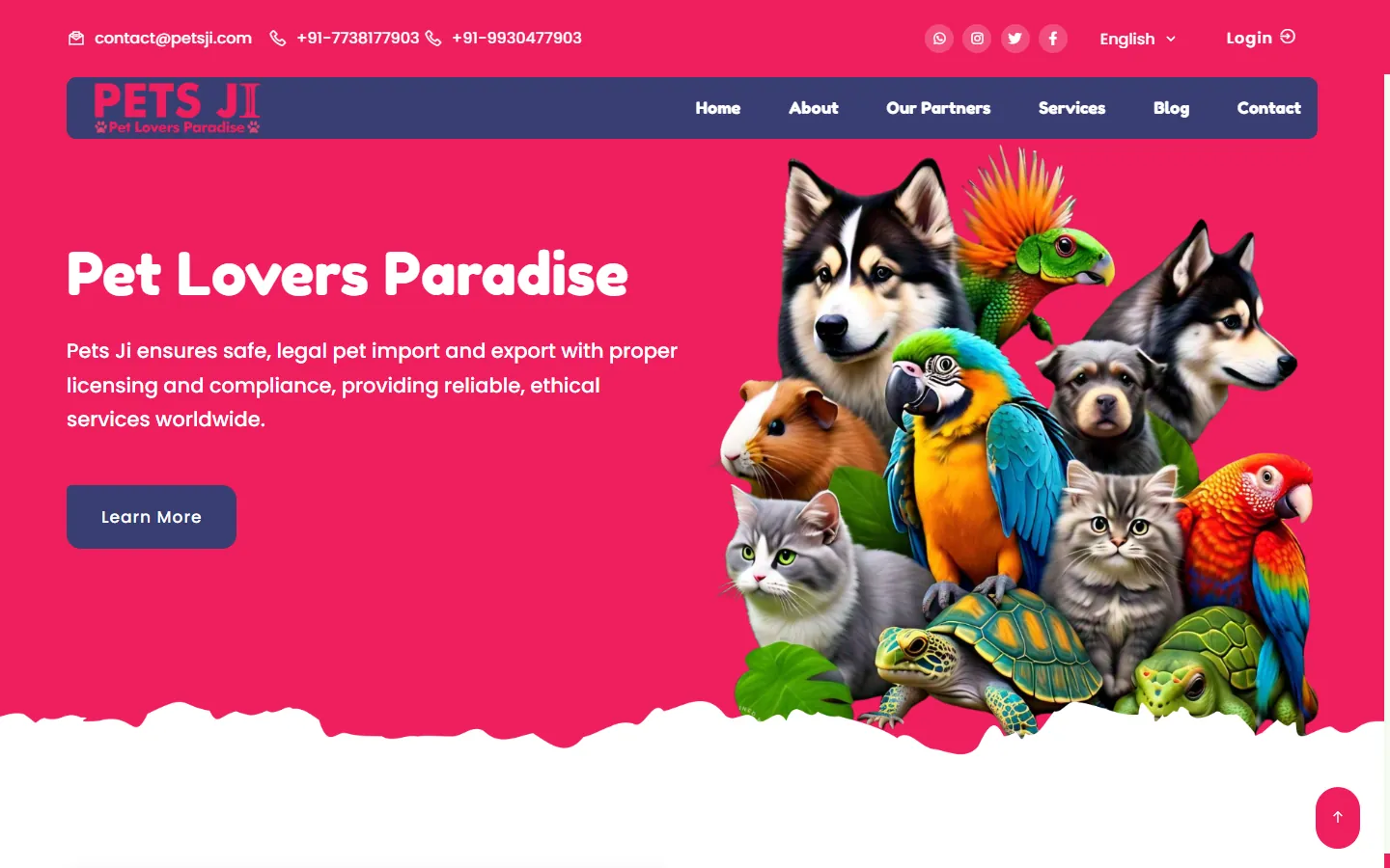 Petsji — homepage