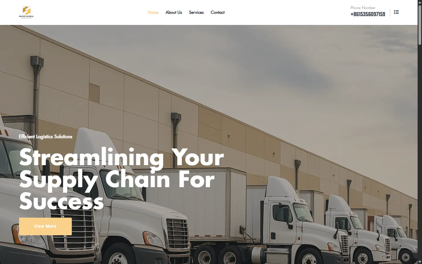 Solvit Global — homepage